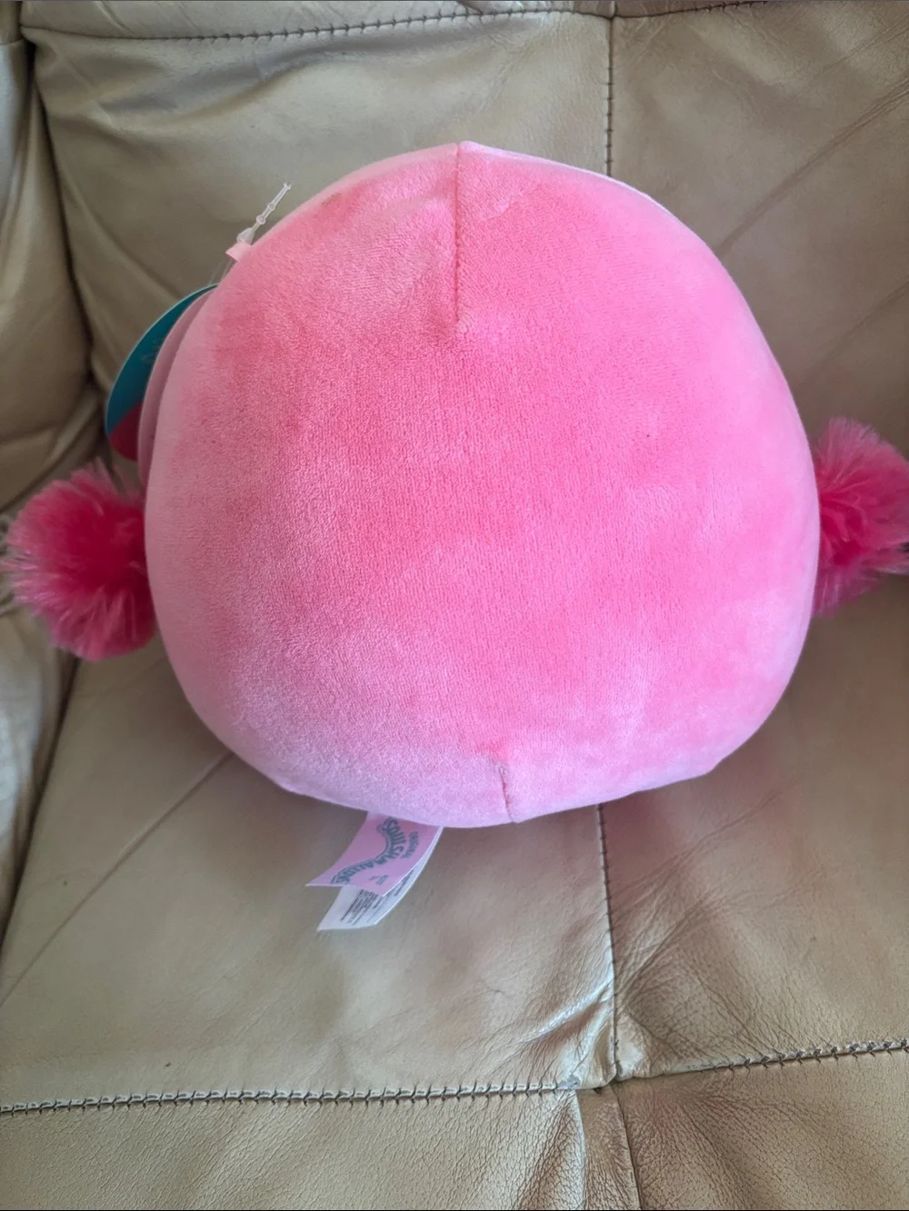 SQUISHMALLOWS 8 inches ~ Cookie 🐦 🩷